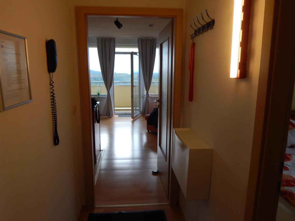 Appartement Harzblick Hohegeiß Zewnętrze zdjęcie