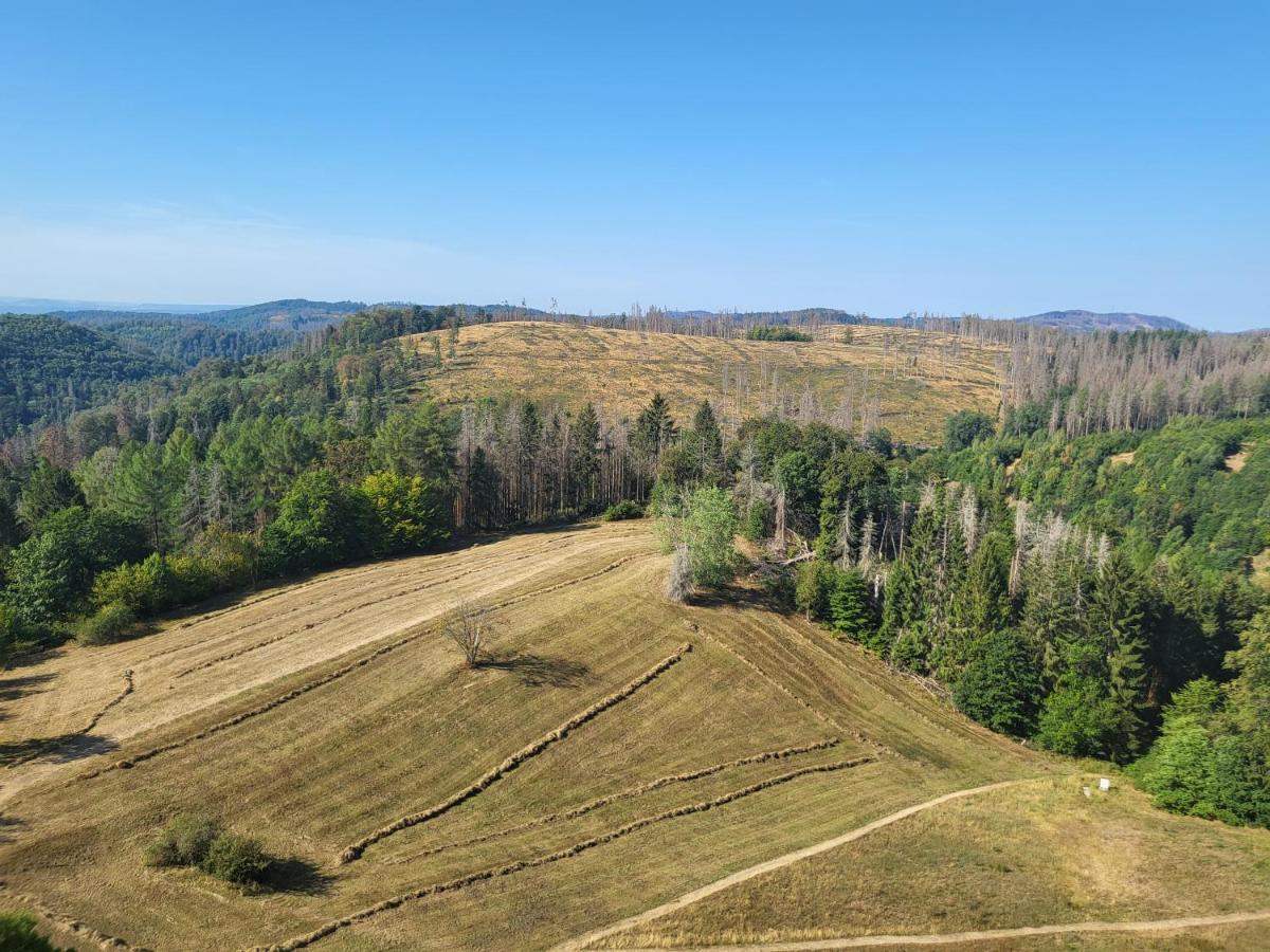 Appartement Harzblick Hohegeiß Zewnętrze zdjęcie