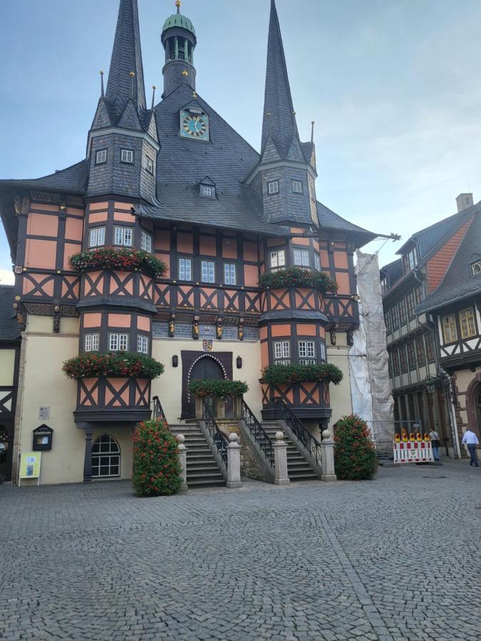 Appartement Harzblick Hohegeiß Zewnętrze zdjęcie