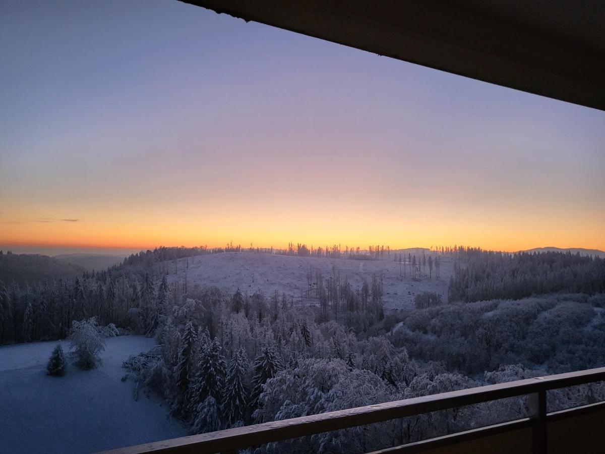Appartement Harzblick Hohegeiß Zewnętrze zdjęcie