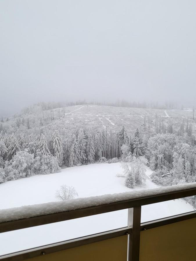 Appartement Harzblick Hohegeiß Zewnętrze zdjęcie